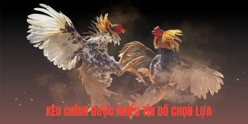 Kèo chính được nhiều tín đồ chọn lựa