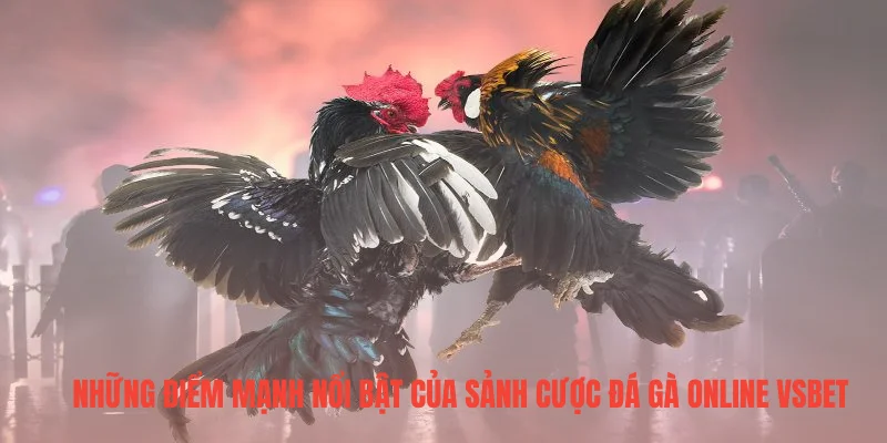 Những điểm mạnh nổi bật của sảnh cược đá gà online VSBET