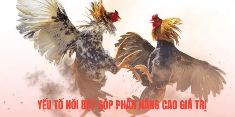 Yếu tố nổi bật góp phần nâng cao giá trị