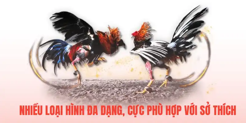 Nhiều loại hình đa dạng, cực phù hợp với sở thích