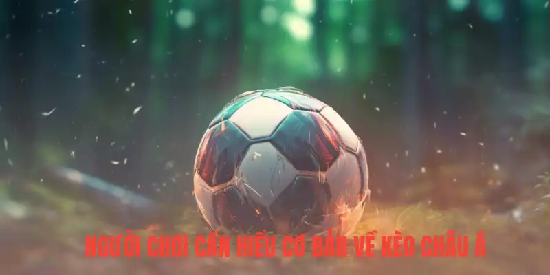 Người chơi cần hiểu cơ bản về kèo châu Á