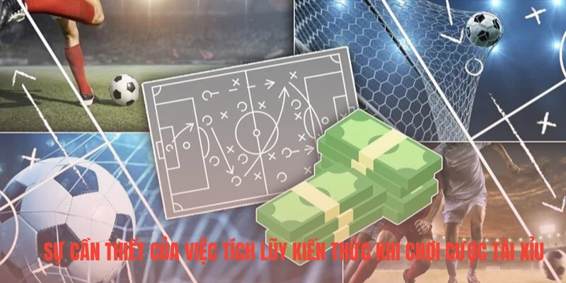 Sự cần thiết của việc tích lũy kiến thức khi chơi cược tài xỉu