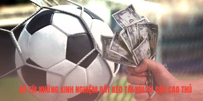 Bỏ túi những kinh nghiệm bắt kèo tài xỉu từ các cao thủ