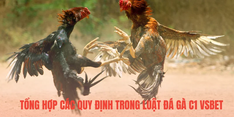 Tổng hợp các quy định trong luật đá gà C1 VSBET